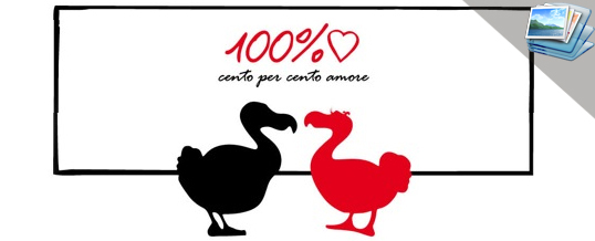 Fotogallery Orogiallo-DODO novembre 2011